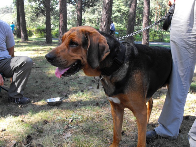 DSCF5242.JPG
