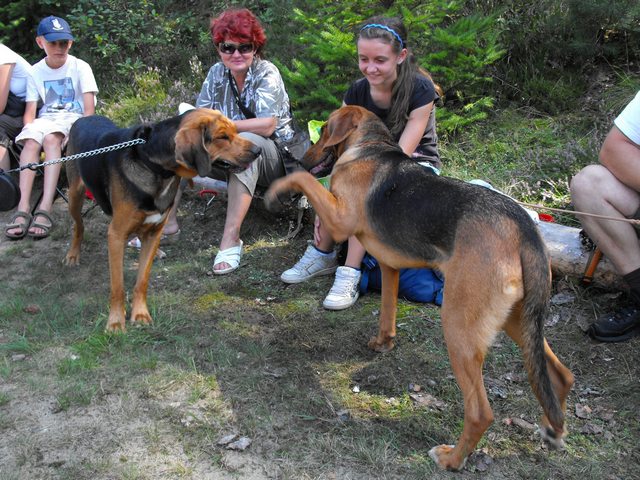 DSCF5252.JPG