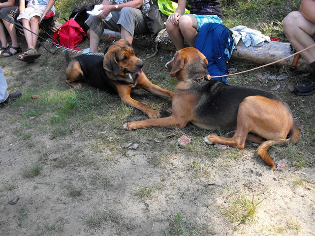 DSCF5257.JPG