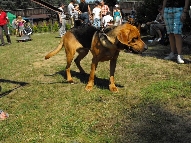 DSCF5274.JPG
