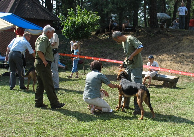 Flash z Południowej Kniei(FIORD).jpg