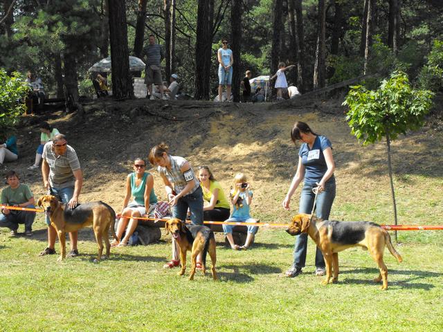 DSCF5276.JPG