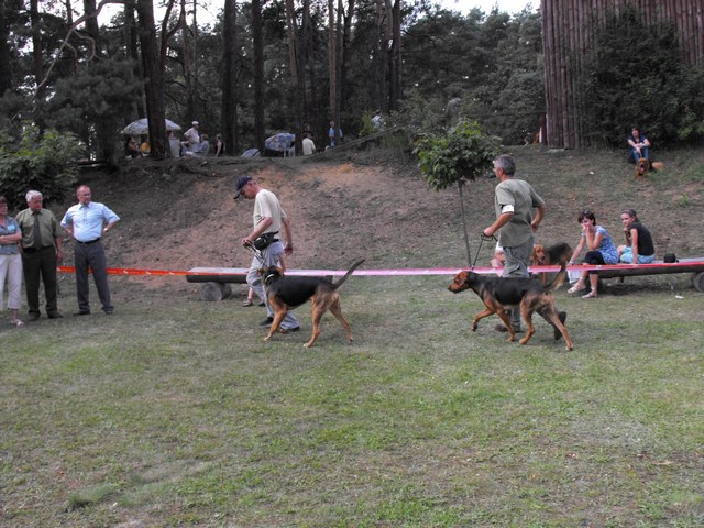 DSCF5284.JPG