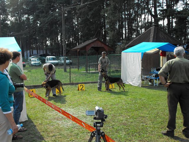 DSCF5285.JPG