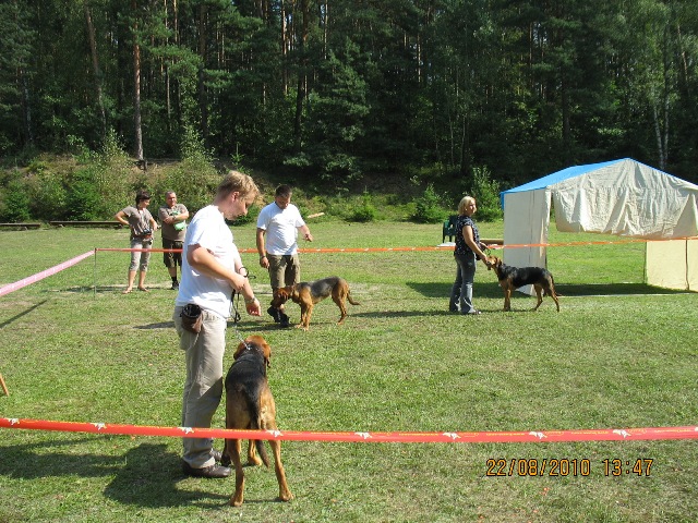 wybór zwycięzcy rasy.jpg