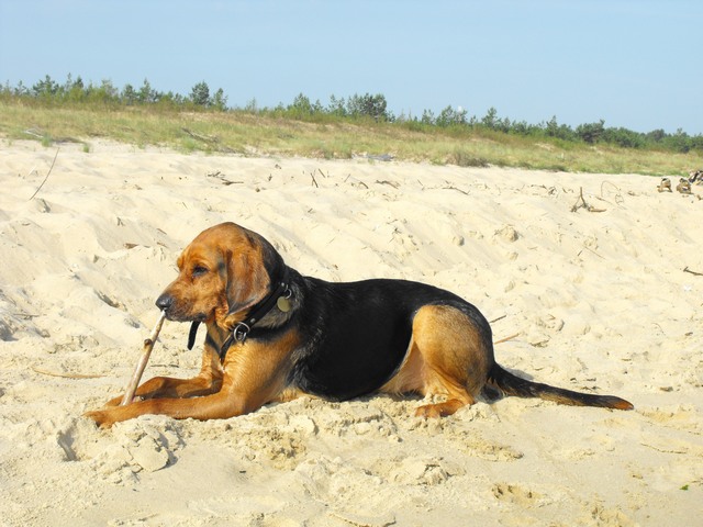 DSCF5010.JPG