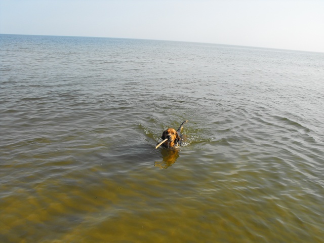 DSCF5011.JPG