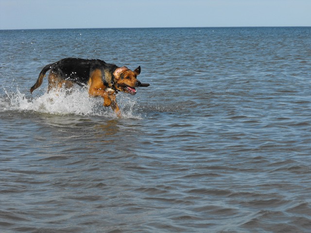 DSCF5215.JPG