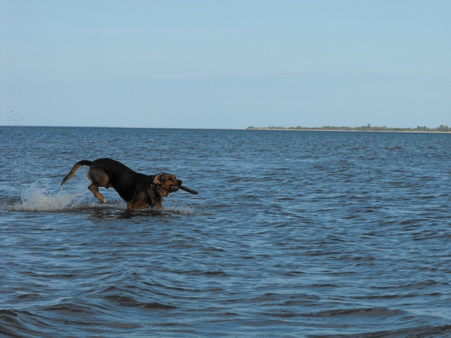 DSCF5217.JPG