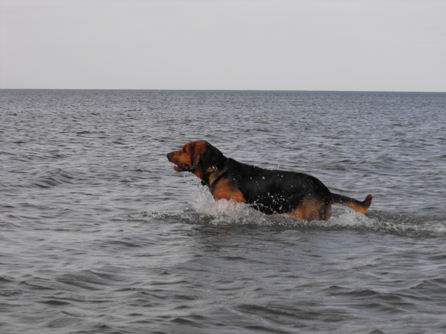 DSCF5219.JPG