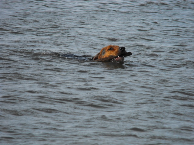 DSCF5222.JPG