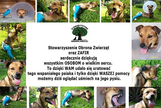 ZAFIR-dziękuje-za-pomoc.jpg
