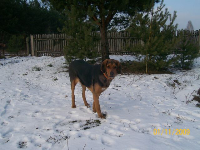 03.jpg
