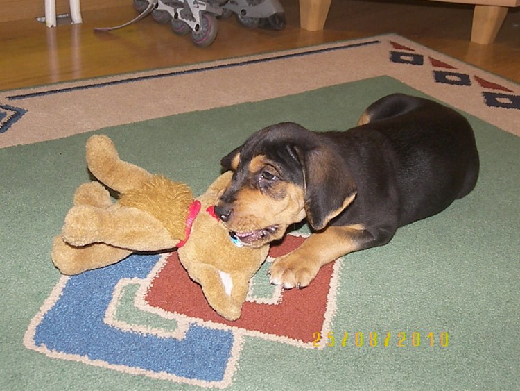 100_3150.JPG