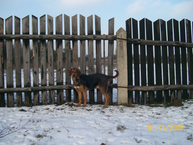 04.jpg