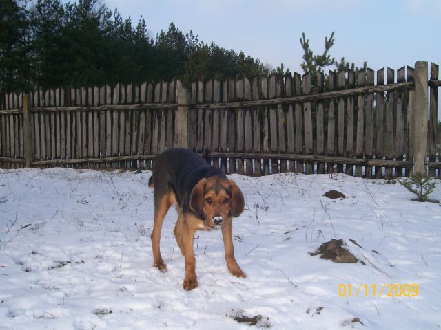 05.jpg