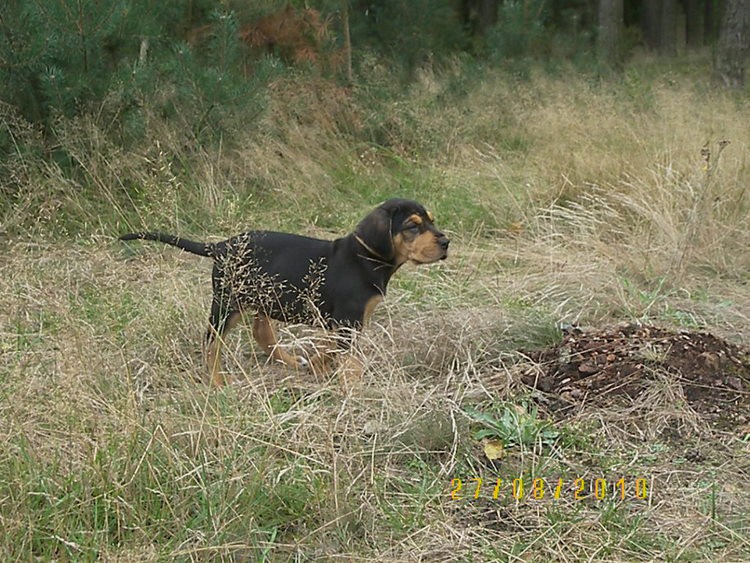 100_3163.JPG
