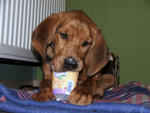 DSCF8202-1.JPG