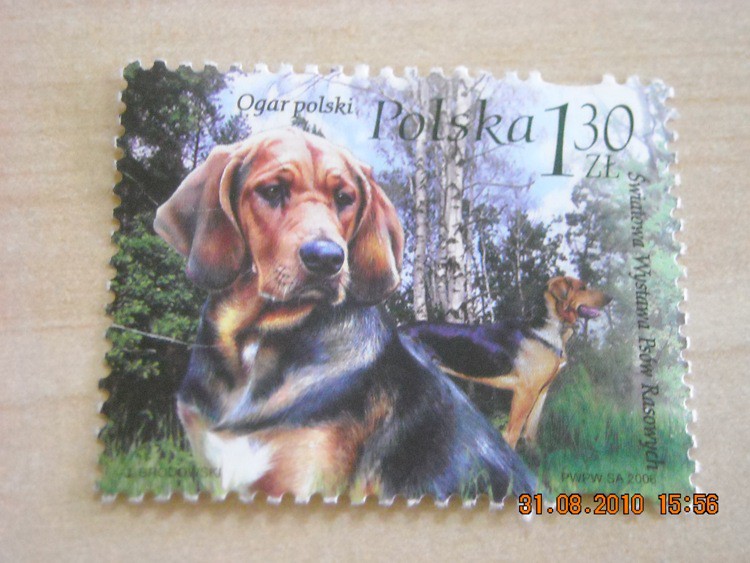 DSCN2050.JPG