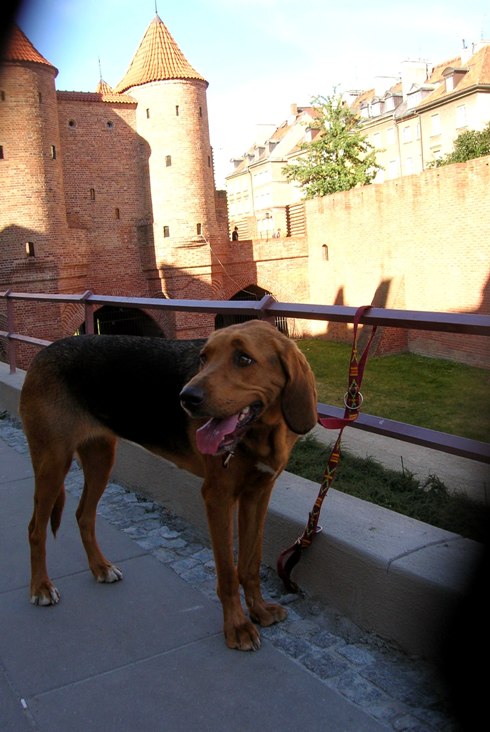 DSCN4485.JPG