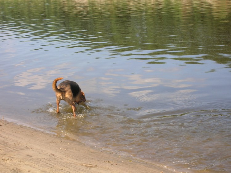 DSCN4522.JPG