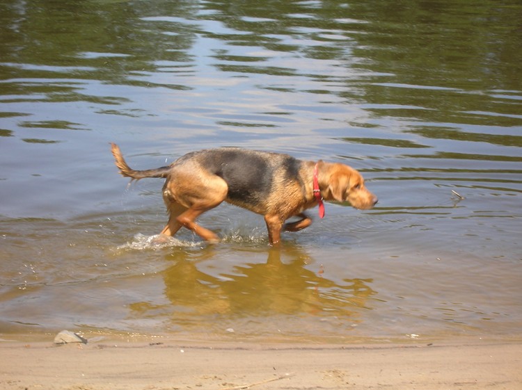 DSCN4526.JPG