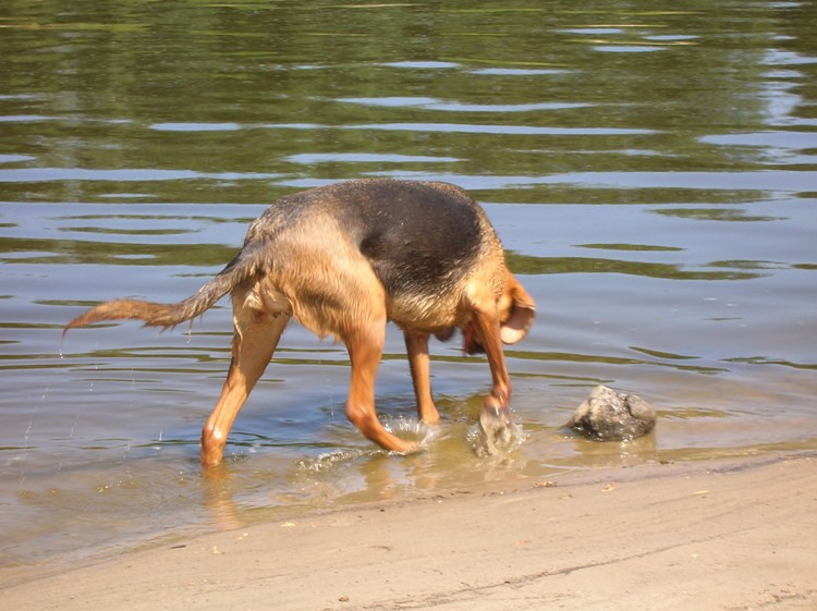 DSCN4527.JPG