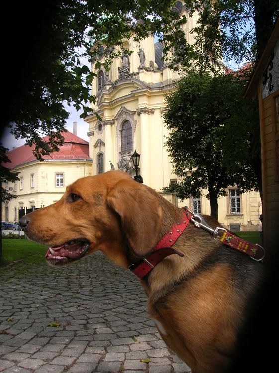 To też w Legnickim Polu