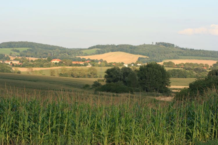 spacer 005.jpg