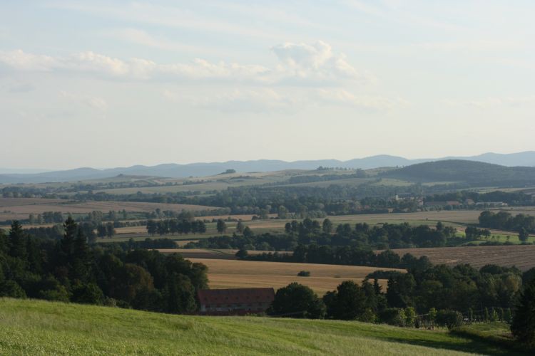 Niemczańskie Wzgórza