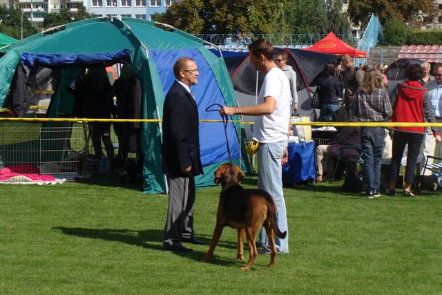 DSC07343.JPG