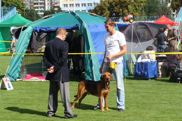 DSC07355.JPG