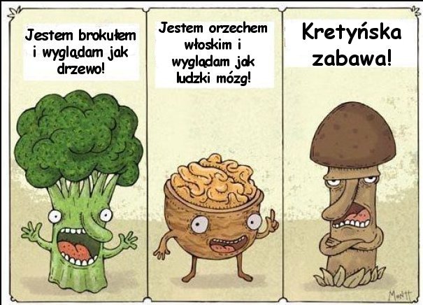 grzybek.jpg