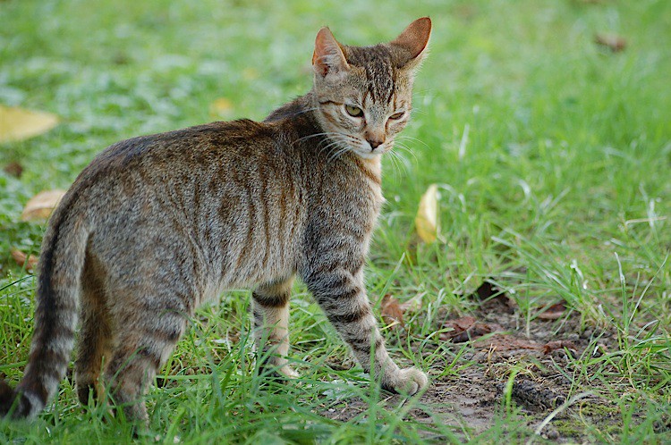 Do mnie mówisz? YOU TALKING TO ME?