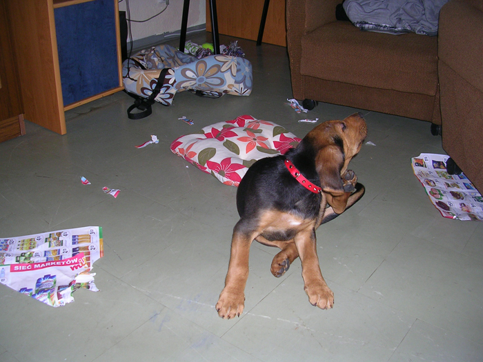 DSCN6474.JPG