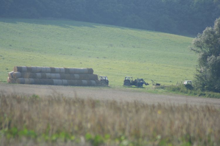 Panowie urozmaicają nam okolicę