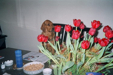 Photo1.jpg