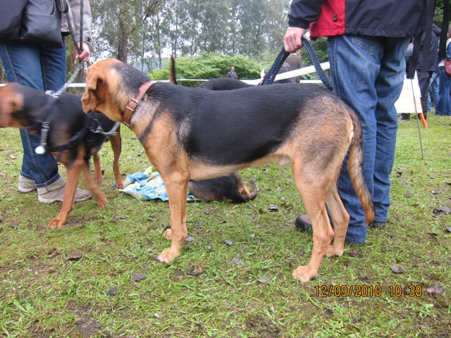 Bursztyn czeka