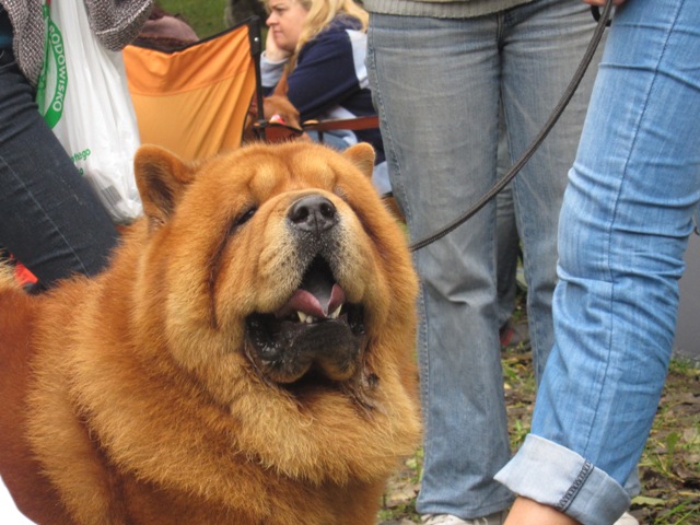 chorzow07.JPG