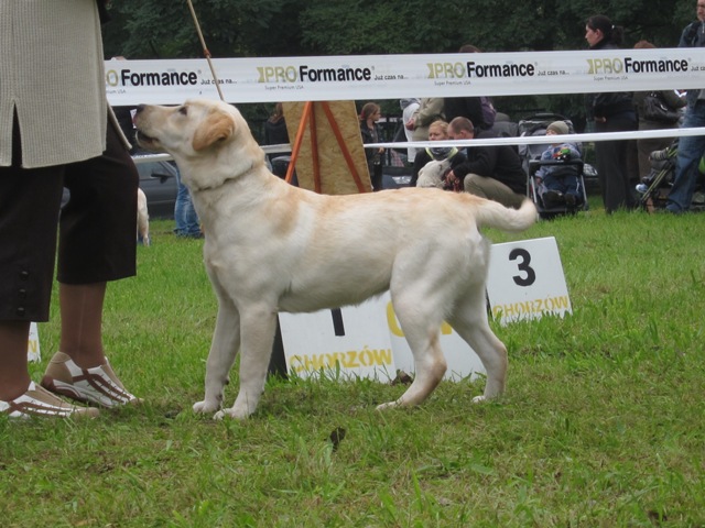 chorzow14.JPG