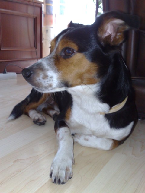 130920101313.jpg