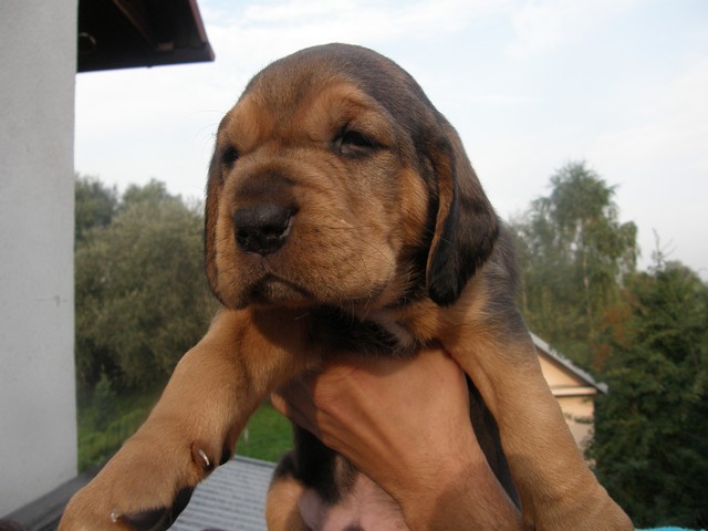 abo-fiordy  4 tyg 021.jpg