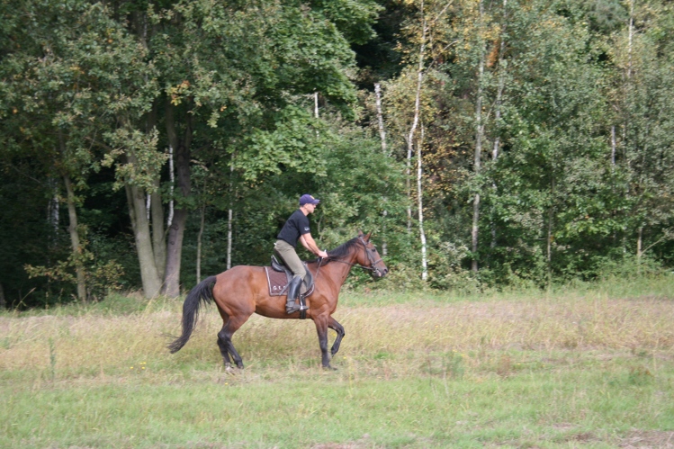 IMG_0016.JPG