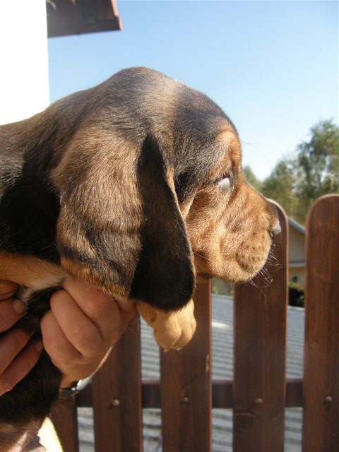 abo-fiordy  5 tyg 015.jpg