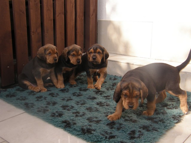 abo-fiordy  5 tyg 054.jpg