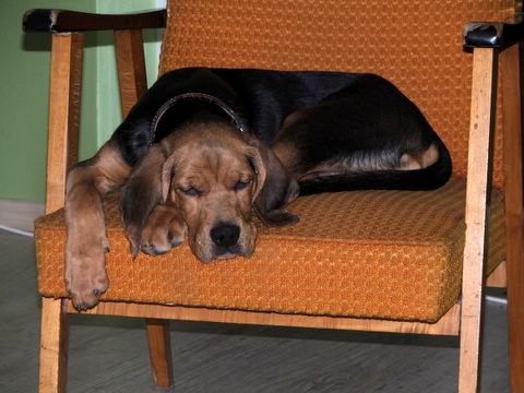 DSCF8048.jpg