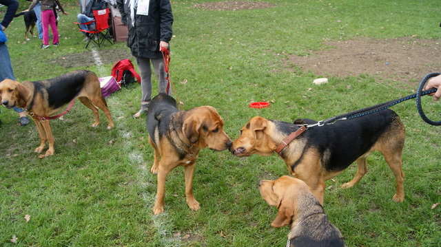 DSC05425.JPG