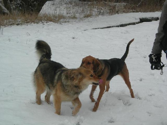 DSCN4379.JPG
