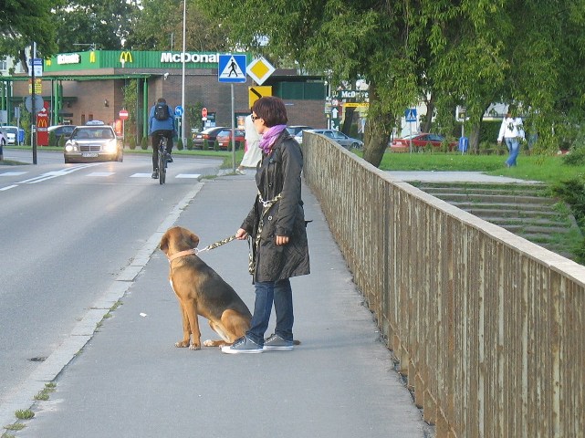 miasto oswajamy.JPG