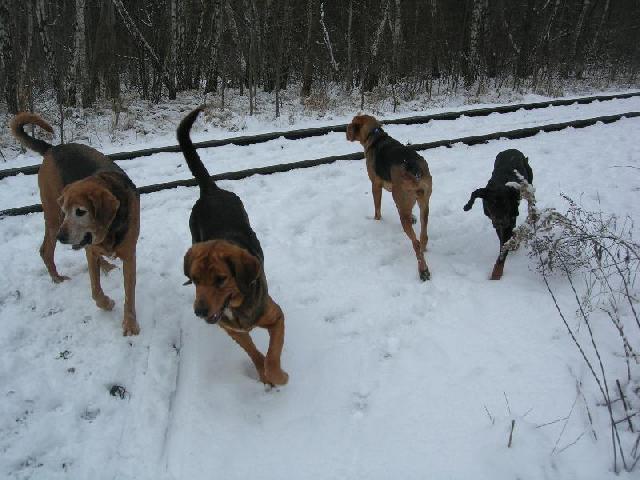 DSCN4380.JPG